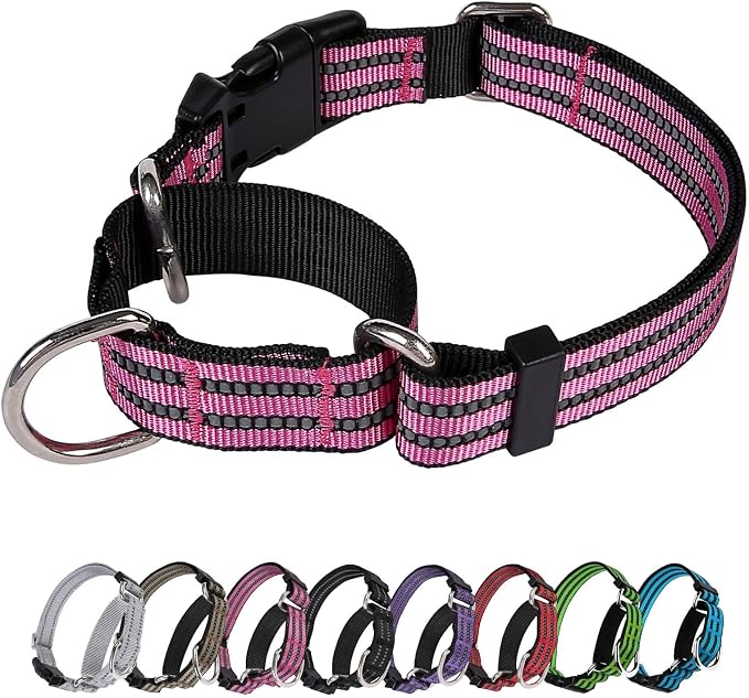 Martingale Dog Collar, Adjustable Nylon Reflective Collar by JOYEEIIOO