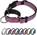 Martingale Dog Collar, Adjustable Nylon Reflective Collar by JOYEEIIOO