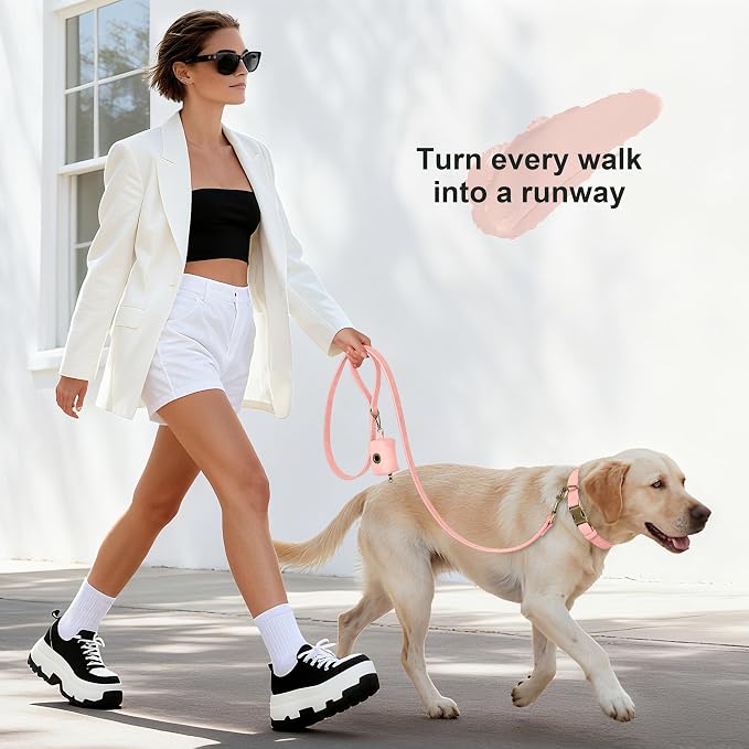 Didog Soft PU Leather Dog Collar, Stylish Quick Released Dog Collar - Image 4