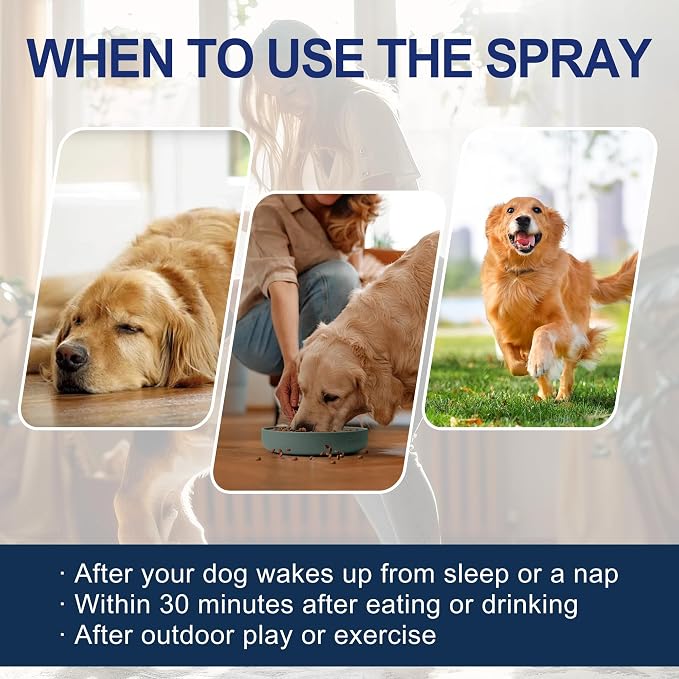 Potty Training Spray for Dogs – 5 fl oz /150ml Dog Pee Training Aid for Puppies - Image 8