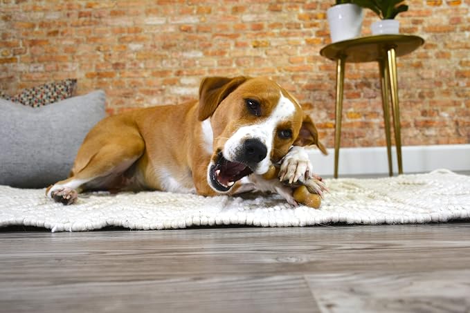 Nylabone Gourmet Style Wishbone Strong Chew Toy - Image 11