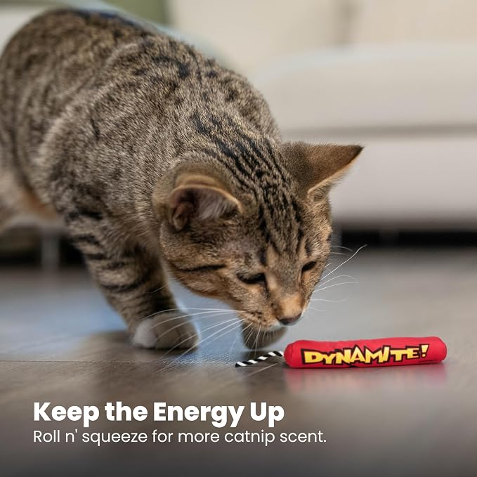 Catstages Green Magic Dynamite Stick Catnip Cat Toy - Image 7