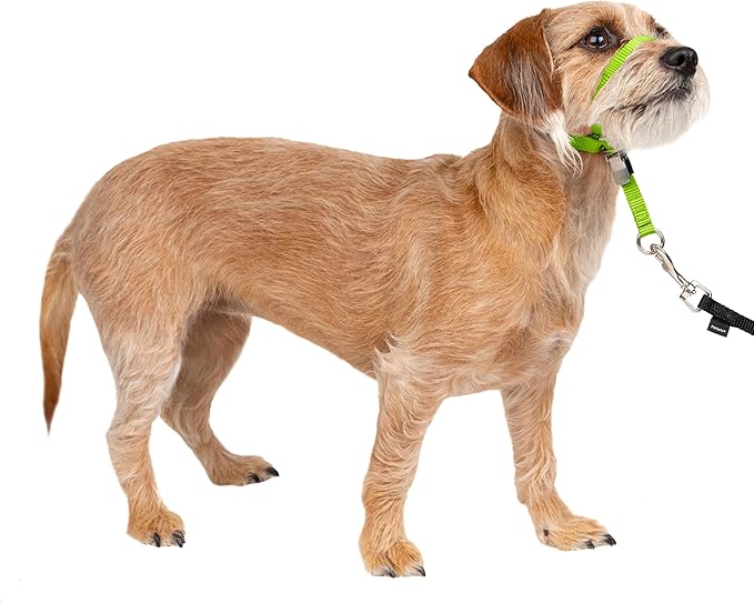 PetSafe Gentle Leader No-Pull Dog Headcollar by PetSafe
