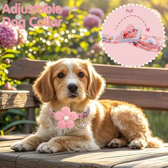Medium Dog Collar with Flower, Dog Collars