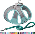 AIITLE Escape Proof Dog Harness by AIITLE-FORPETSBETTERLIFE