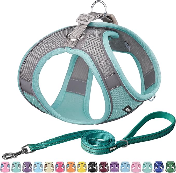 AIITLE Comfortable Dog Harness and Leash Set by AIITLE-FORPETSBETTERLIFE