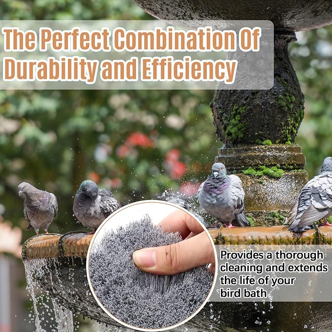 2 Pcs Bird Bath Cleaning Brush Hard Bristle Stiff Bristle Brush - Image 5