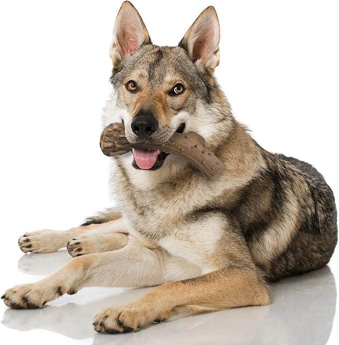Nylabone Power Chew Antler Alternative Nylon Chew Toy - Image 2