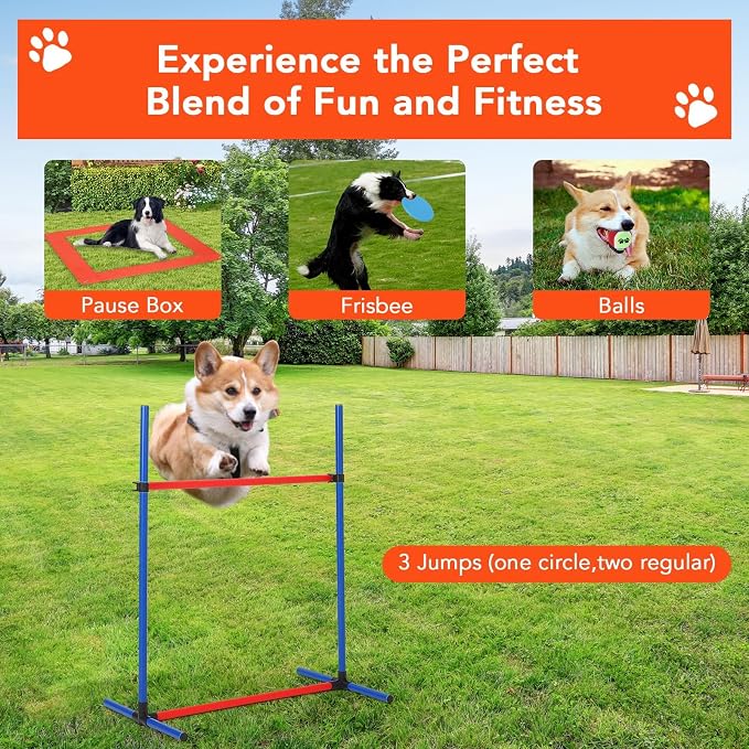 Garvee Dog Agile Training Equipment Set Outdoor Indoor, Weave Poles, Pause Box - Image 7