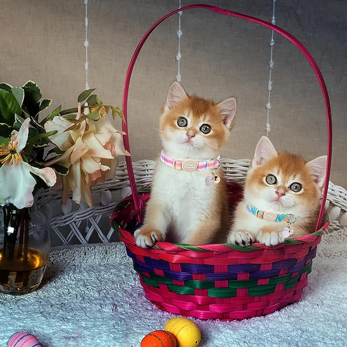 Unique style paws 2 Pack Easter Day Kitten Collar Breakaway - Image 6