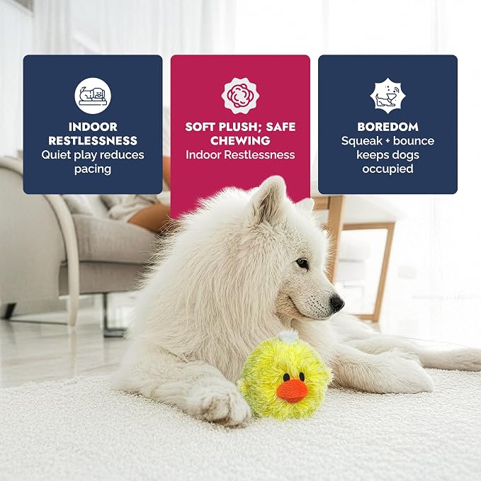 Pet Lou DOG'Z 4 Inch EZ Squeaky Chick Dog Plush Toy, Stuffing-Free Soft Plush - Image 5
