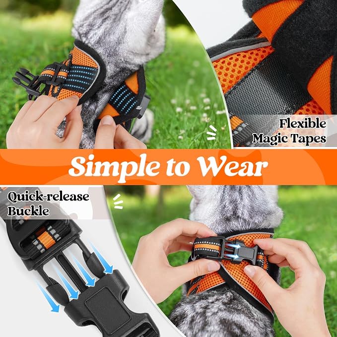 rabbitgoo Cat Harness and Leash Set - Image 2