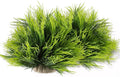 2pcs Aquarium Plants Decorations Artificial Fish Tank Plants Plastic Fish Tank by Unknown
