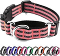 Hikiko Martingale Dog Collars Reflective Nylon Dog Collar by Hikiko