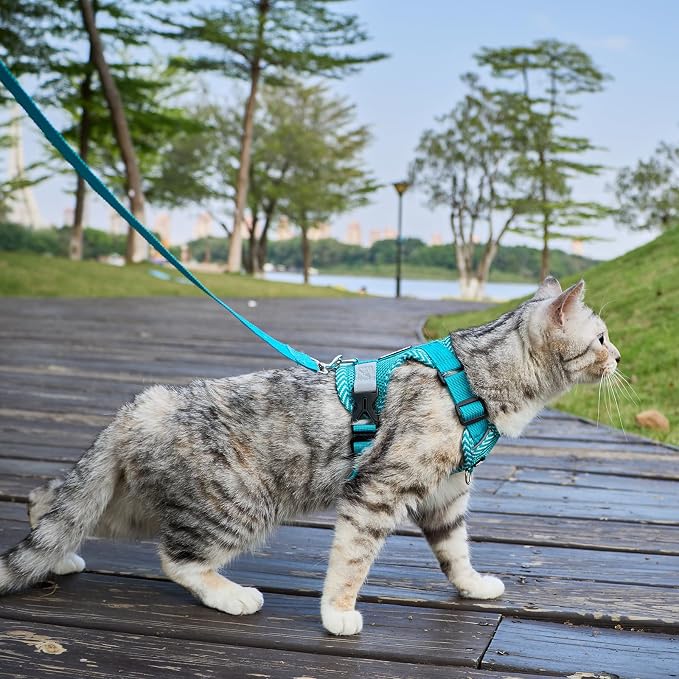 Cat Harness and Leash Escape Proof Extra Large Kitten Harness Maine Coon Cat - Image 3