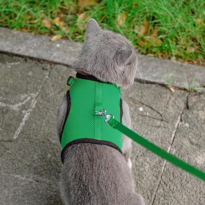 PUPTECK Soft Mesh Cat Vest Harness and Leash Set Puppy Padded Pet Harnesses - Image 6