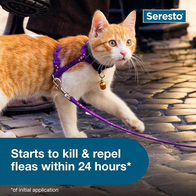 Seresto Cat Vet-Recommended Flea & Tick Treatment & Prevention Collar - Image 7