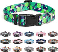 Mercano Adjustable Dog Collar by Unknown