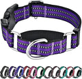 Hikiko Martingale Collar for Dogs Reflective Nylon Dog Collar by Hikiko
