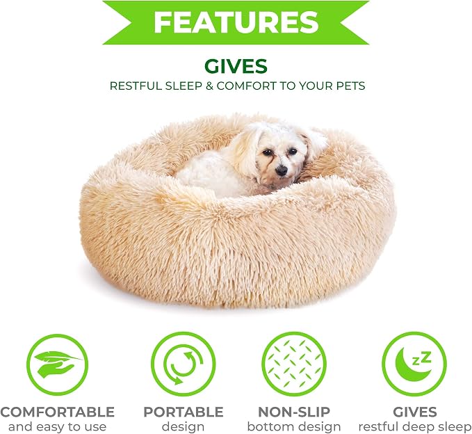 Whiskers & Friends Cat Bed Dog, Cat Beds - Image 3