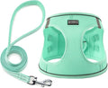 Dog Harness with Leash Set, No Pull Adjustable Reflective Step-in Puppy Pet by BOOMIBOO