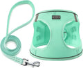 Dog Harness with Leash Set, No Pull Adjustable Reflective Step-in Puppy Pet by BOOMIBOO
