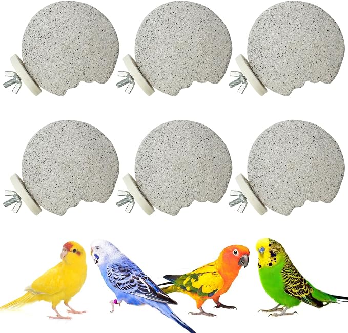 PINVNBY 6 PCS Bird Perch Parrot Beak Grinding Stone Calcium Mineral Parrot by PINVNBY
