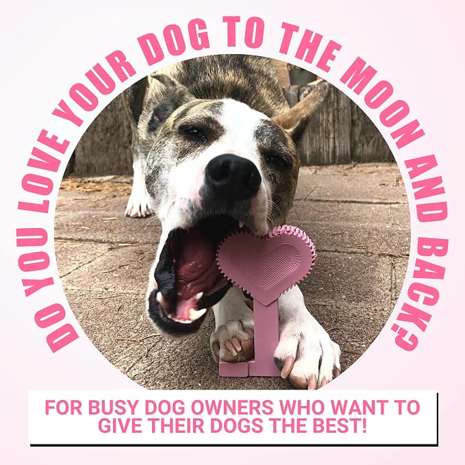 Bullibone Nylon Dog Chew Toy for Aggressive Chewers - Image 5