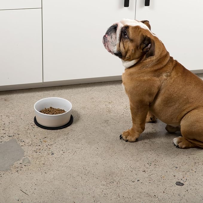Waggo Habit Silicone Dog Placemat – Set of 2 Modern Heavyweight Silicone Dog - Image 8