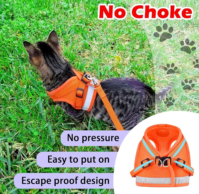 Cat Harnesses and Puppy Harness - Image 3