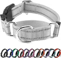 Hikiko Reflective Martingale Collar by Hikiko
