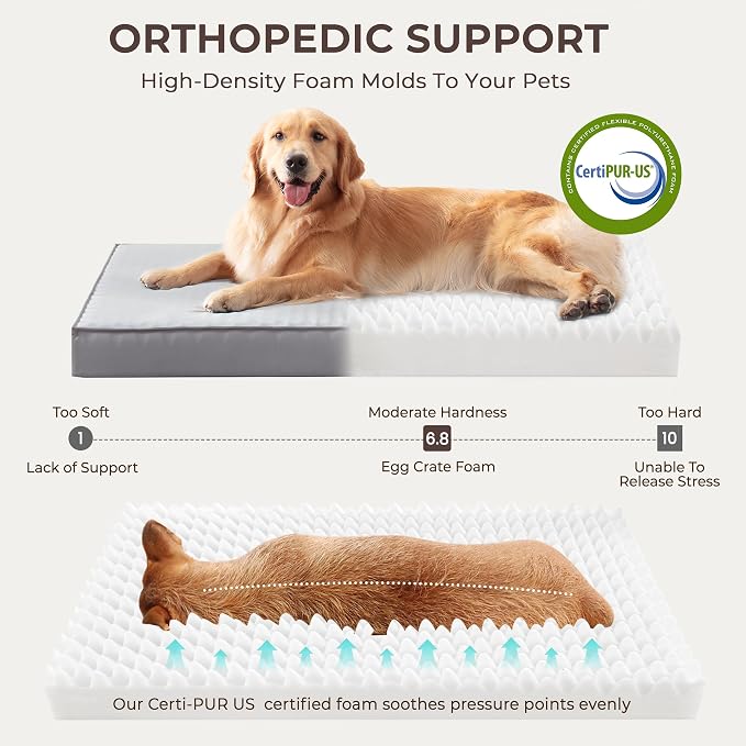 2-Pack Waterproof Dog Bed Medium Size Dogs, Plush Cushion & Orthopedic - Image 3