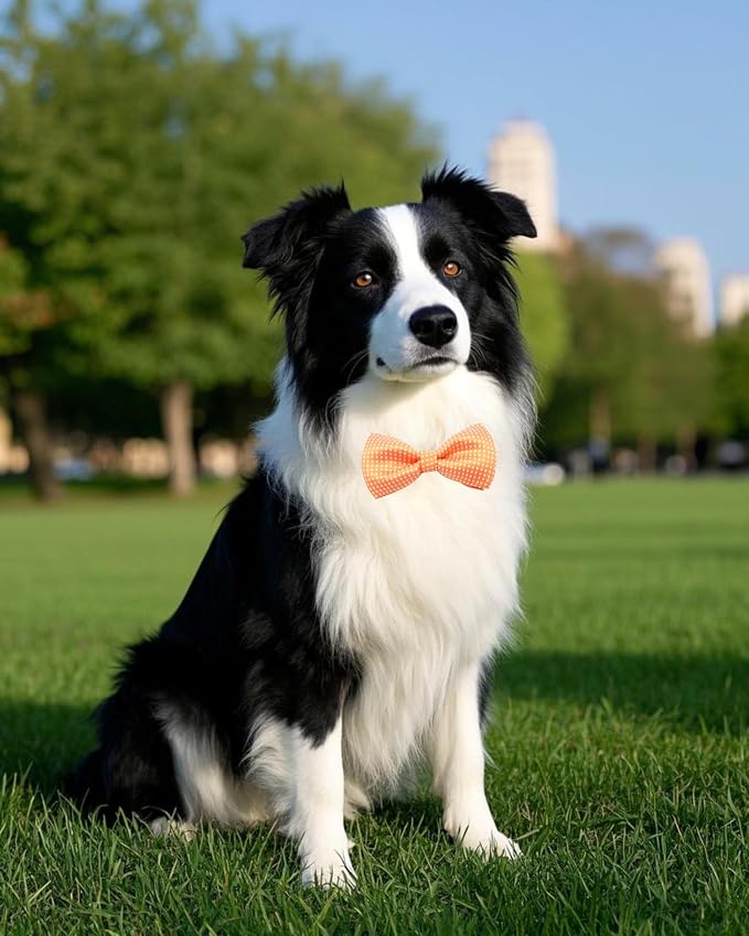 PET SHOW 8 Pack Dot Big Dogs Collar Embellishment Attachment Bow Ties - Image 7
