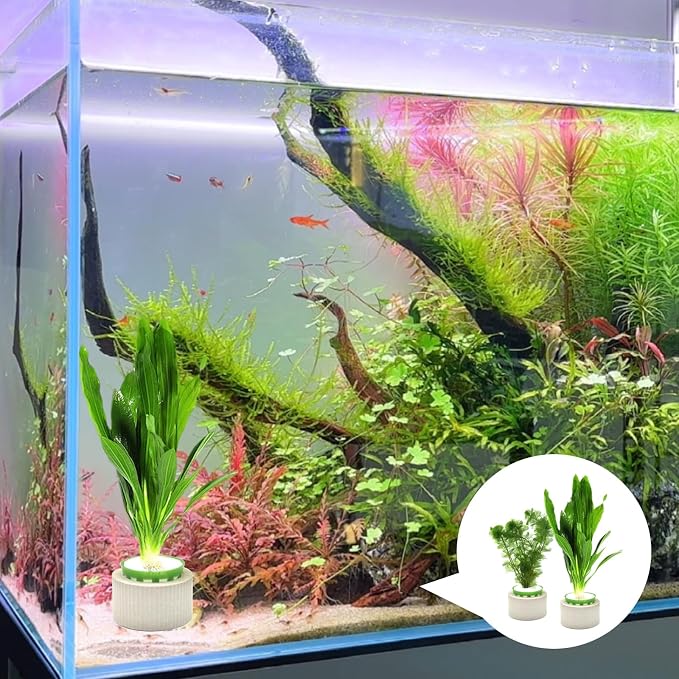 12 Pack Aquarium Plant Weights, Aquatic Plants Fixed Ring Set, Anti-Floating - Image 3