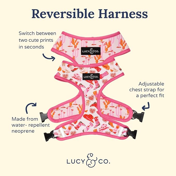 Lucy & Co. Little Lamb Adjustable Dog Collar- Cute Designer Pet Collar - Image 6