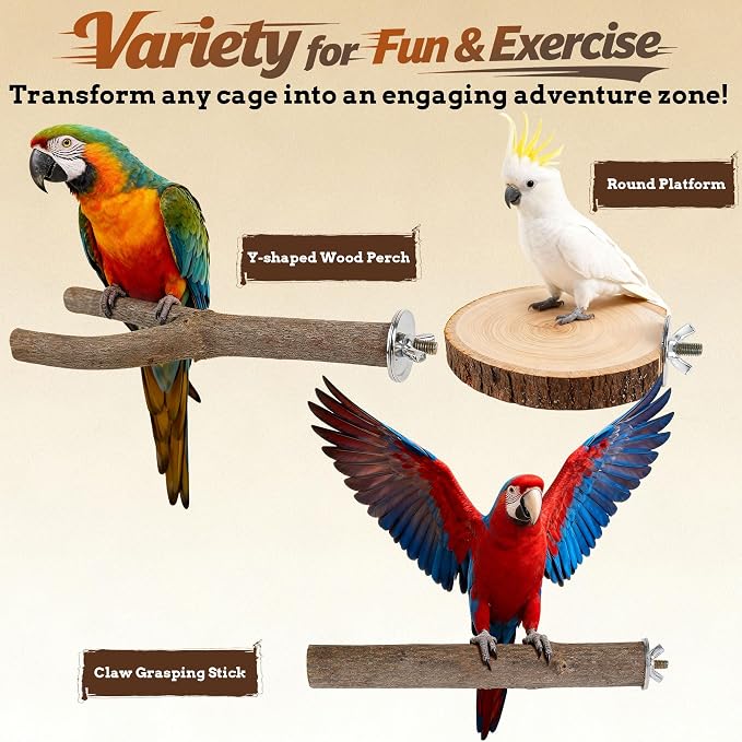 6 PCS Bird Perch Set, Natural Birch Wood Straight & Forked Perches - Image 5