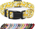 Reflective Dog Collar for Medium Dogs, Cute Flower Theme Adjustable Heavy-Duty