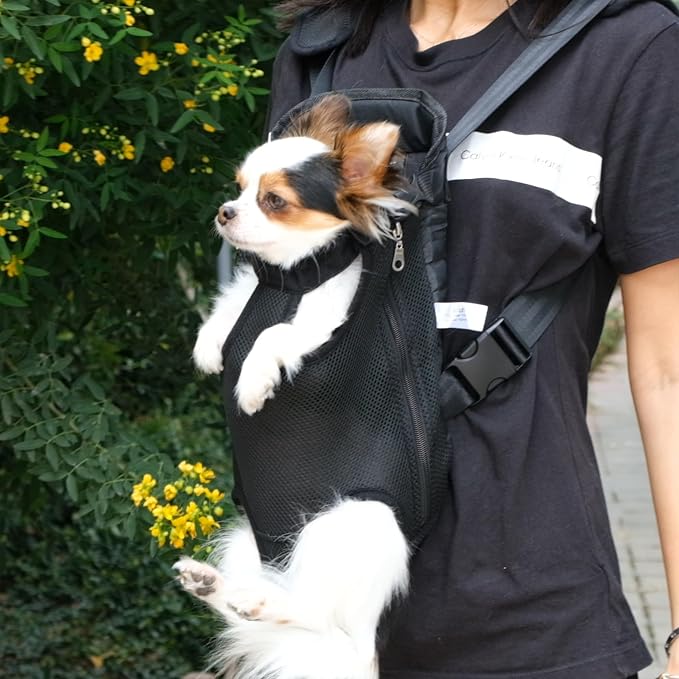 Mr. Pen- Pet Carrier Backpack, Weighing Up to 12 lbs, Adjustable Dog Carrier - Image 9
