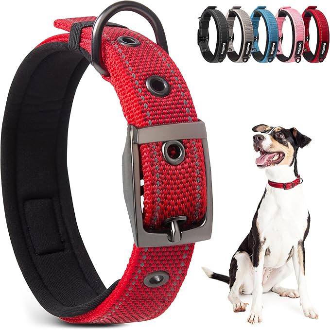 PetiFine Dog Collars for Medium Dogs, Neoprene Padded and Adjustable, by PetiFine