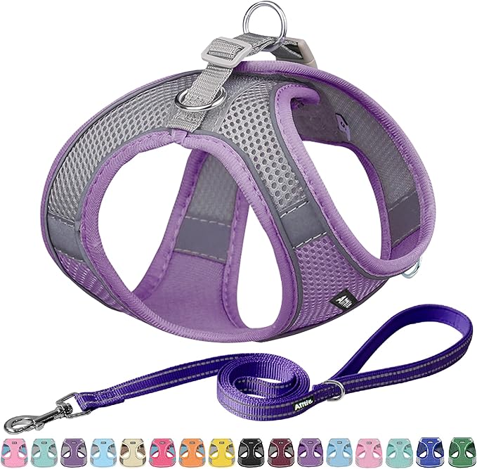 AIITLE No Pull Dog Harness and Leash Set, Step in Adjustable Dog Harness by AIITLE-FORPETSBETTERLIFE
