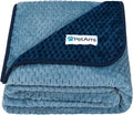 PetAmi Waterproof Dog Blanket, Leakproof XL Pet Blanket by PetAmi