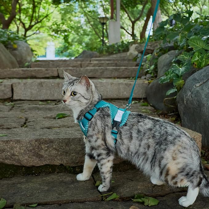 Cat Harness and Leash Escape Proof Extra Large Kitten Harness Maine Coon Cat - Image 8