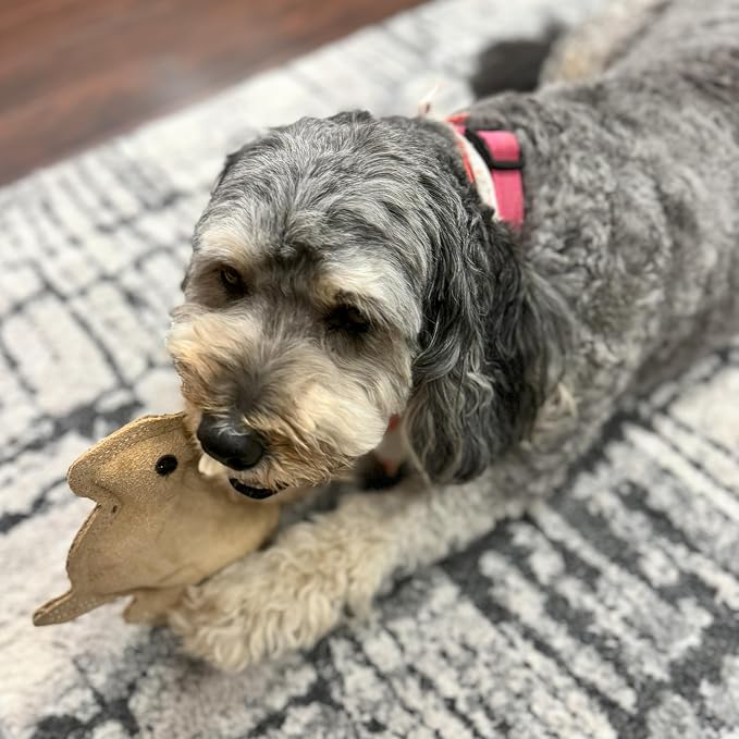 SPOT Dura-Fused Leather Rabbit Dog Toy – Durable Real Leather & Jute Chew Toy - Image 8
