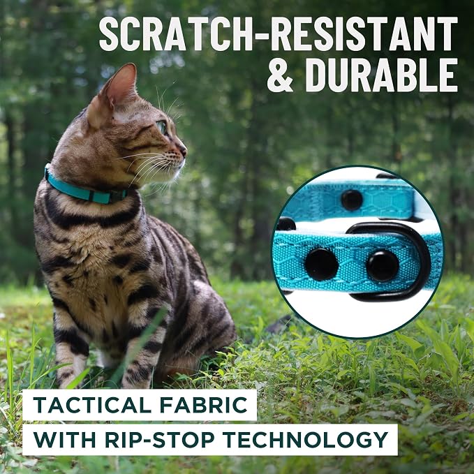 OutdoorBengal Black Cat Collar Breakaway, Soft Padding - Image 4
