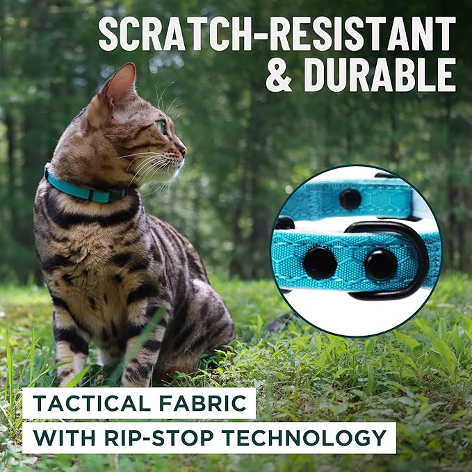 OutdoorBengal Blue Cat Collar Breakaway - Image 4