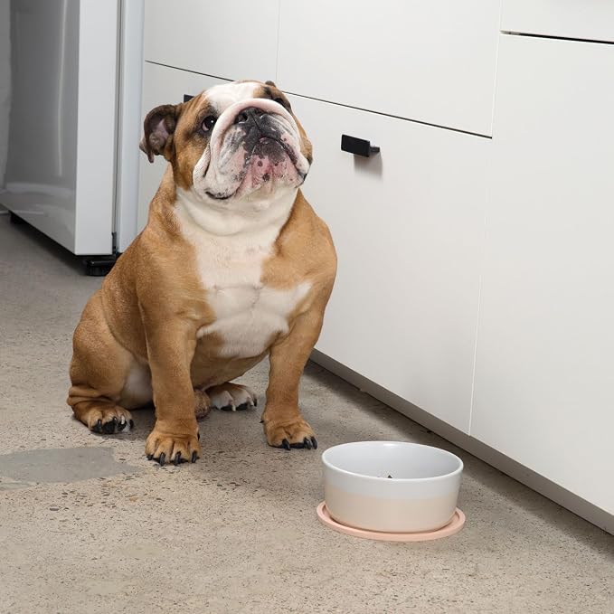 Waggo Habit Silicone Dog Placemat – Set of 2 Modern Heavyweight Silicone Dog - Image 9