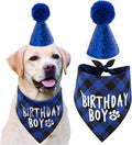 Dog Birthday Party Supplies, Pet Birthday Hat and Boy Doggy Birthday Bandana Set by JPB