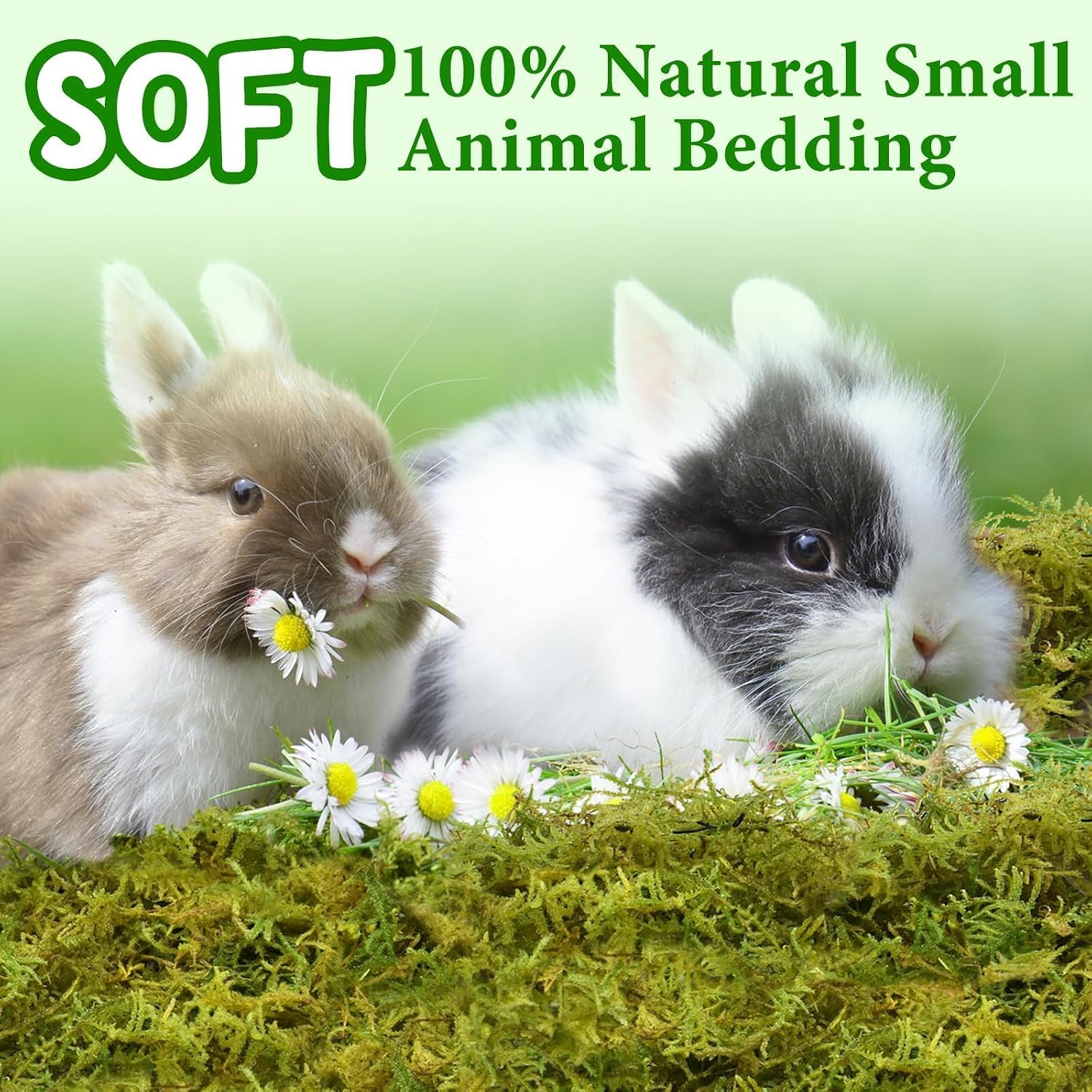 Halatool Hamster Moss Bedding, 25QT, 1.1LB - GlobalHabitat Supply