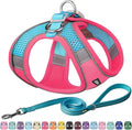 AIITLE Step in Dog Harness and Leash Set by AIITLE-FORPETSBETTERLIFE