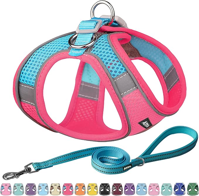 AIITLE Escape Proof Dog Harness by AIITLE-FORPETSBETTERLIFE